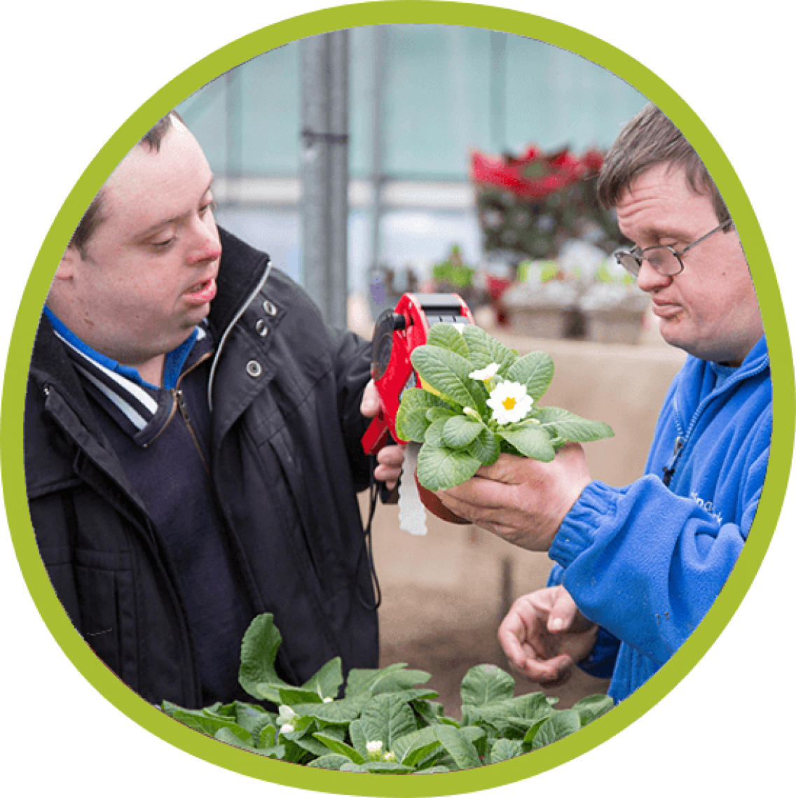two young men working at a garden centre