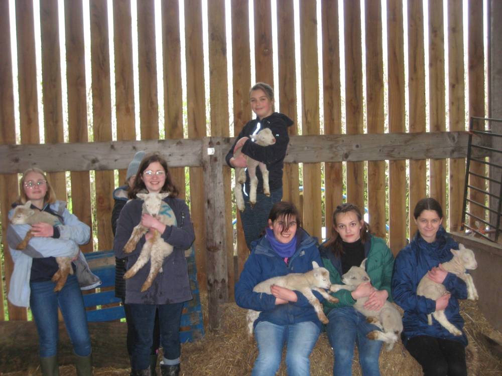 Wye Community Farm - children holding sheep