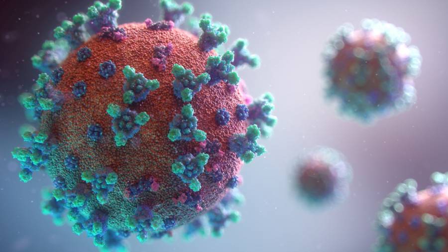 KCF opens Coronavirus Emergency Fund