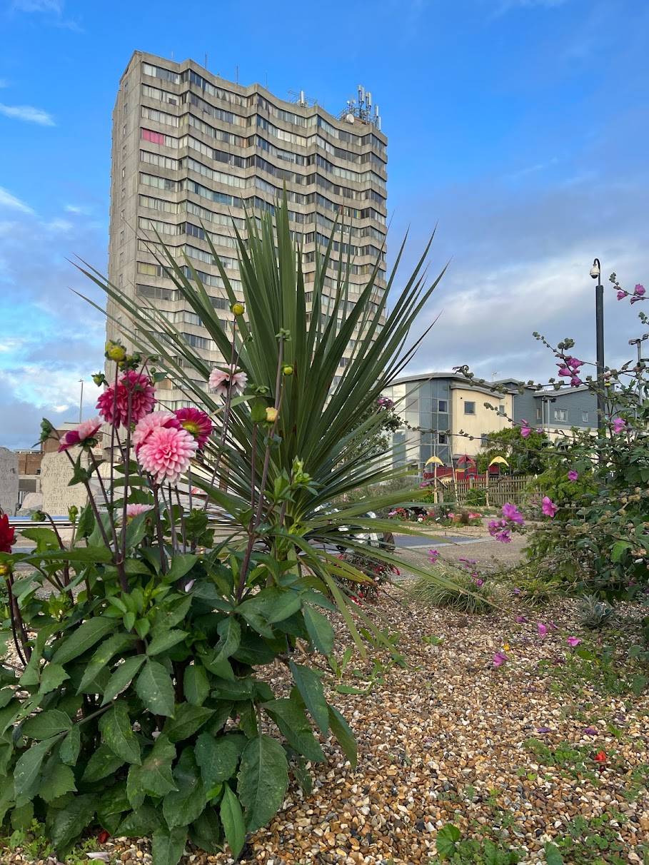 Community garden in Margate