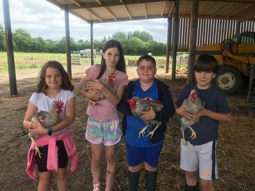 Wye Community Farm - children holding chickens