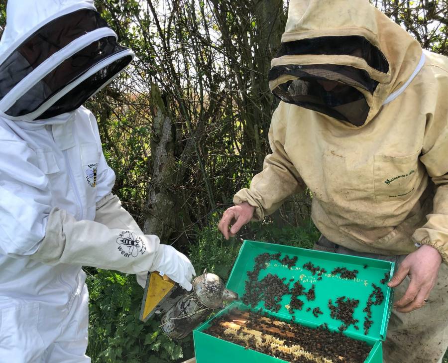 Brogdale Collections in Faversham - Beekeepers with bees