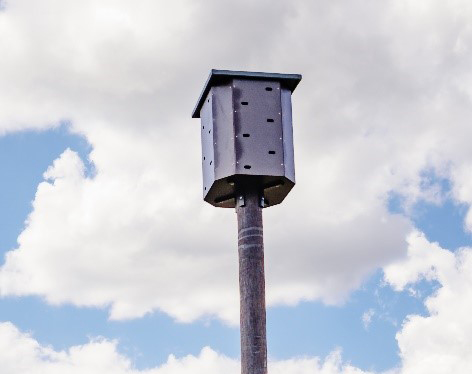 Swift and bat tower -